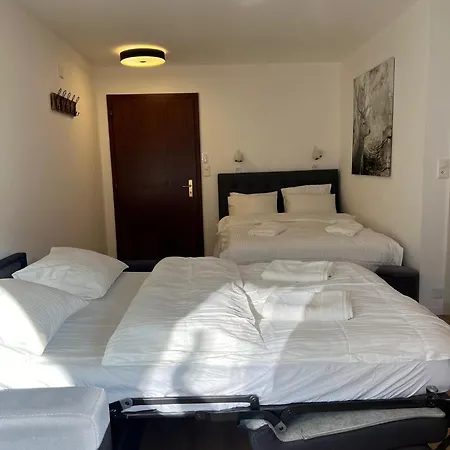 La Perle Montana Apartament